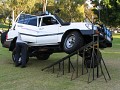 IMG_2674.jpg