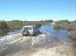 P1002318.jpg