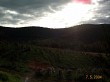 P1002560.jpg