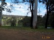 P1002564.jpg