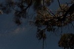 DSCF0778.JPG