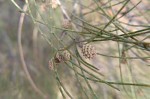 DSCF0831.JPG