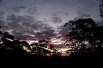 DSCF0870.JPG