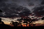 DSCF0871.JPG
