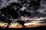 DSCF0873.JPG