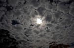 DSCF0883.JPG