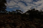DSCF0898.JPG