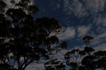 DSCF0900.JPG