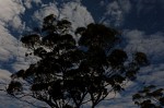 DSCF0902.JPG