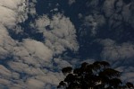 DSCF0903.JPG