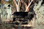 DSCF0946.JPG
