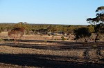 DSCF0956.JPG