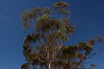 DSCF1001.JPG