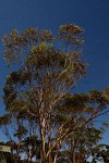 DSCF1002.JPG