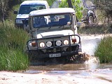IMG_2361.jpg