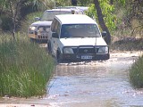 IMG_2362.jpg