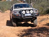 IMG_2379.jpg