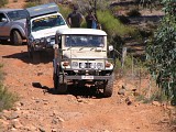 IMG_2380.jpg