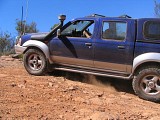 IMG_2385.jpg