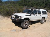 IMG_2386.jpg