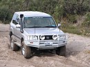 IMG_4372.jpg