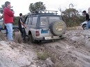 IMG_4381.jpg