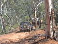 IMG_3307.jpg