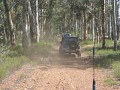 IMG_3308.jpg