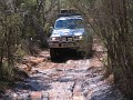 IMG_3314.jpg