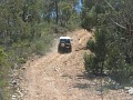 IMG_3318.jpg
