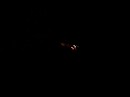 100_7570.jpg