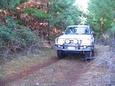 IMG_7313.jpg