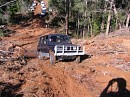 IMG_7319.jpg