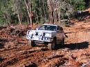 IMG_7335.jpg