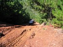 IMG_7346.jpg