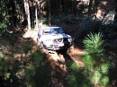 IMG_7356.jpg