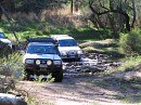 IMG_7362.jpg
