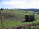 IMG_7376.jpg