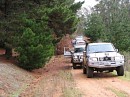 IMG_7414.jpg