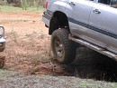 IMG_7419.jpg