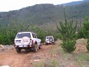 IMG_7424.jpg
