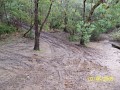 100_2141.jpg