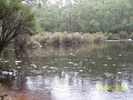 100_2143.jpg