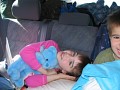 IMG_0730.jpg
