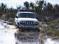 IMG_0765.jpg