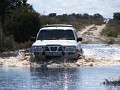 IMG_0770.jpg