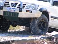 IMG_0773.jpg