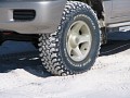 IMG_0796.jpg