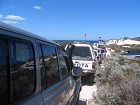 IMG_3984.jpg