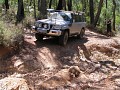 IMG_3406.jpg